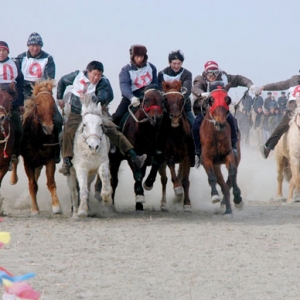 近百匹名貴賽馬亮相新疆首屆博斯騰杯賽馬大會(huì)